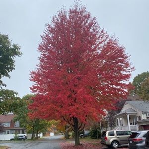 Meet your Posher, Lola